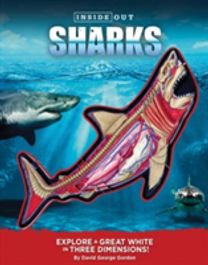 Inside Out Sharks