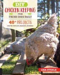 Diy Chicken Keeping from Fresh Eggs Daily