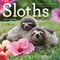 Sloths Wall Calendar 2016