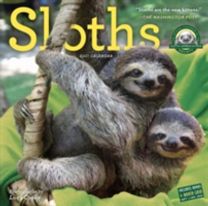 Sloths Wall Calendar 2017