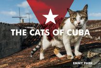 Cats of Cuba