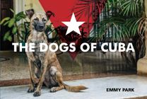 Dogs of Cuba