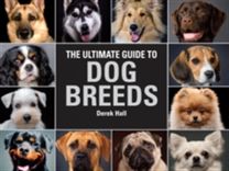 The Ultimate Guide to Dog Breeds