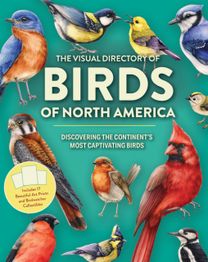 Visual Directory of Birds of North America