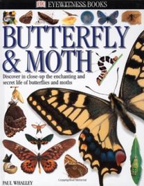 Dk Eyewitness Books Butterfly and Moth