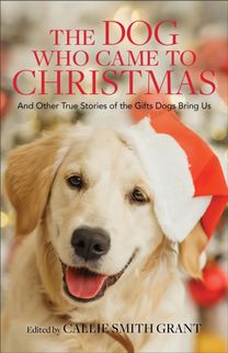 Dog Who Came to Christmas – And Other True Stories of the Gifts Dogs Bring Us