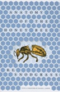 Anatomy of the Honey Bee