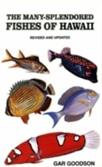 Many-Splendored Fishes of Hawaii