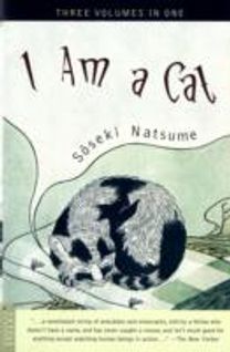 I am a Cat
