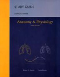 Anatomy and Physiology Anatomy and Physiology