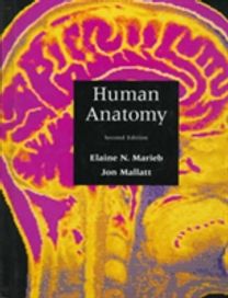 Human Anatomy Human Anatomy