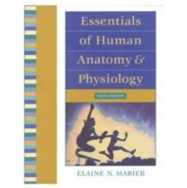 Essentials of Human Anatomy and Physiology Essentials of Human Anatomy and Physiology