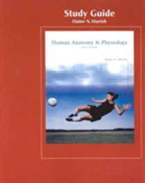Human Anatomy and Physiology Study Guide Human Anatomy and Physiology Study Guide