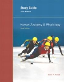 Study Guide Study Guide