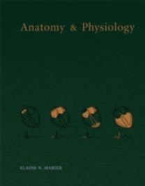Anatomy & Physiology Anatomy & Physiology