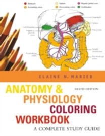 Anatomy and Physiology Coloring Workbook Anatomy and Physiology Coloring Workbook