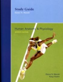 Human Anatomy and Physiology Human Anatomy and Physiology