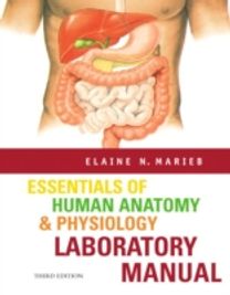 Essentials of Human Anatomy and Physiology Essentials of Human Anatomy and Physiology