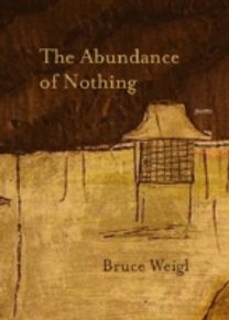Abundance of Nothing
