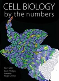 Cell Biology by the Numbers