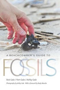 Beachcomber's Guide to Fossils