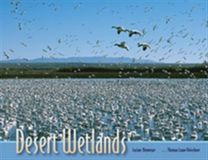 Desert Wetlands