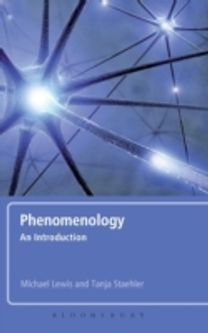 Phenomenology