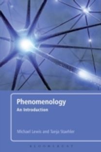 Phenomenology