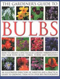 Gardener's Guide to Bulbs