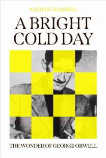 Bright Cold Day