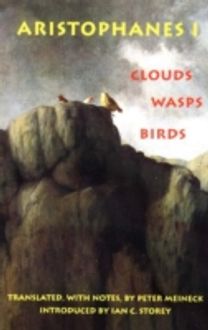 Clouds, Wasps, Birds