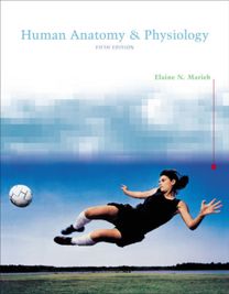 Human Anatomy & Physiology with I/p V2.0 7-System Suite Cd Student Version for National Bundle Students Pack Human Anatomy & Physiology with I/p V2.0 7-System Suite Cd Student Version for National Bundle Students Pack
