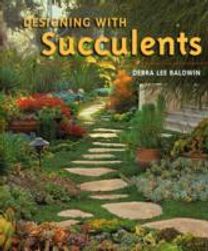 Designing with Succulents