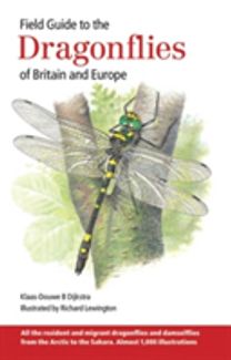 Field Guide to the Dragonflies of Britain and Europe