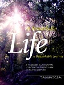 Remarkable Life a Remarkable Journey
