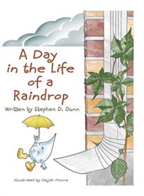 Day in the Life of a Raindrop
