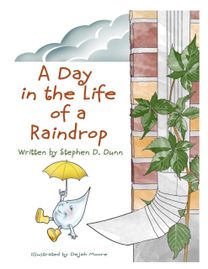 Day in the Life of a Raindrop