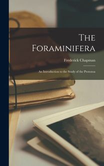 Foraminifera Foraminifera
