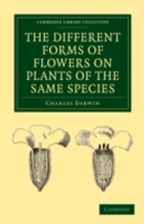 Different Forms of Flowers on Plants of the Same Species