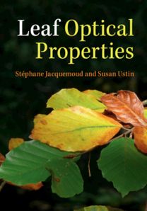 Leaf Optical Properties