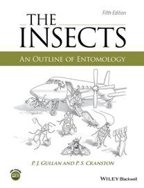 Insects