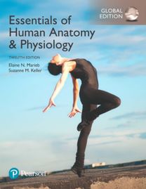 Essentials of Human Anatomy & Physiology Plus Pearson Mastering Anatomy & Physiology with Pearson Etext, Global Edition Essentials of Human Anatomy & Physiology Plus Pearson Mastering Anatomy & Physiology with Pearson Etext, Global Edition