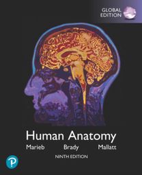 Human Anatomy, Global Edition Human Anatomy, Global Edition
