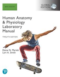Human Anatomy & Physiology Laboratory Manual, Main Version, Global Edition Human Anatomy & Physiology Laboratory Manual, Main Version, Global Edition