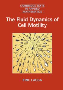 Fluid Dynamics of Cell Motility