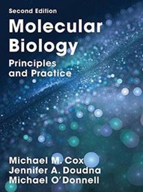 Molecular Biology Molecular Biology