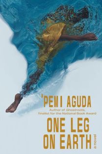 One Leg on Earth