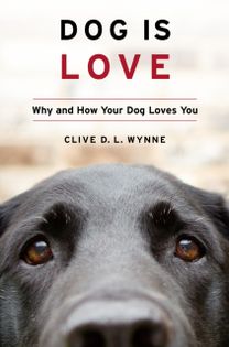 Dog is Love