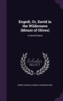 Engedi, Or, David in the Wilderness  Mou