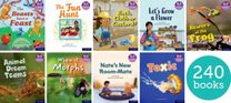 ELS: More Phase 5-6 Essential Phonic Readers: OL 5-7 Singles Pack